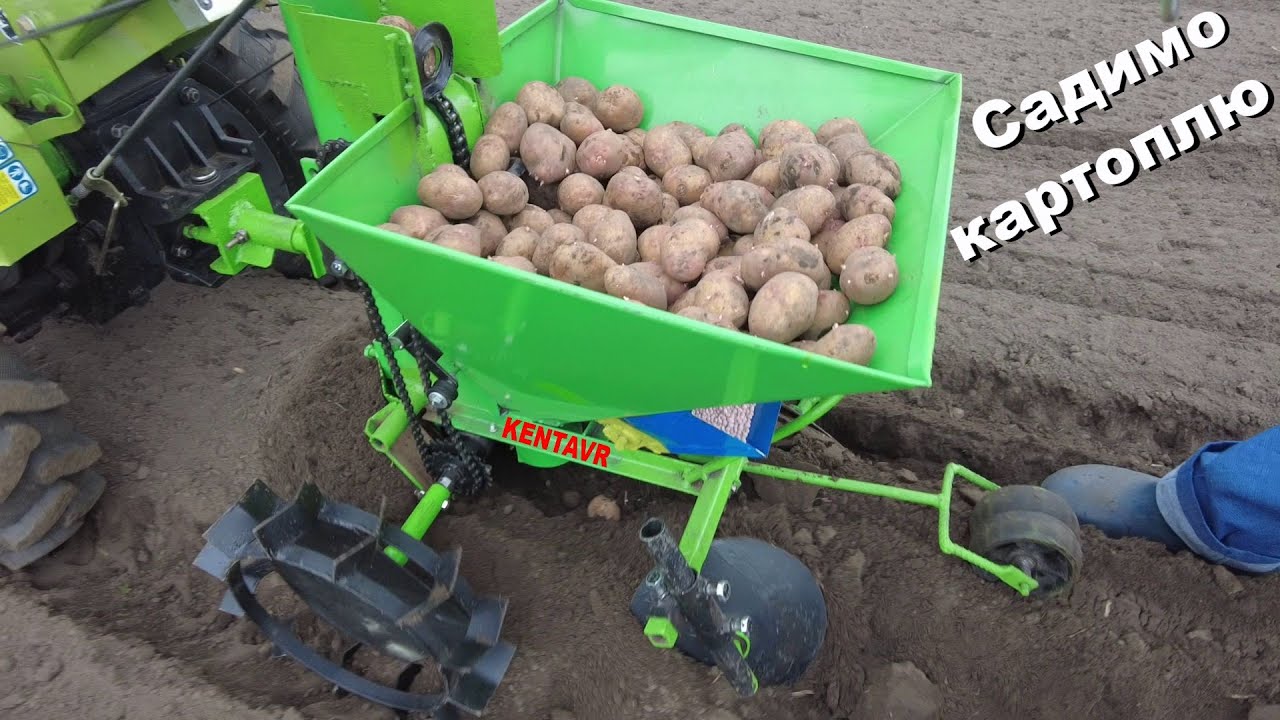 Посадка картофеля мотоблоком и сажалкой Kentavr