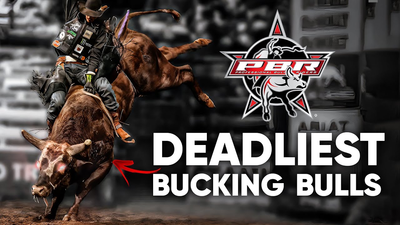 The DEADLIEST Bulls In PBR History