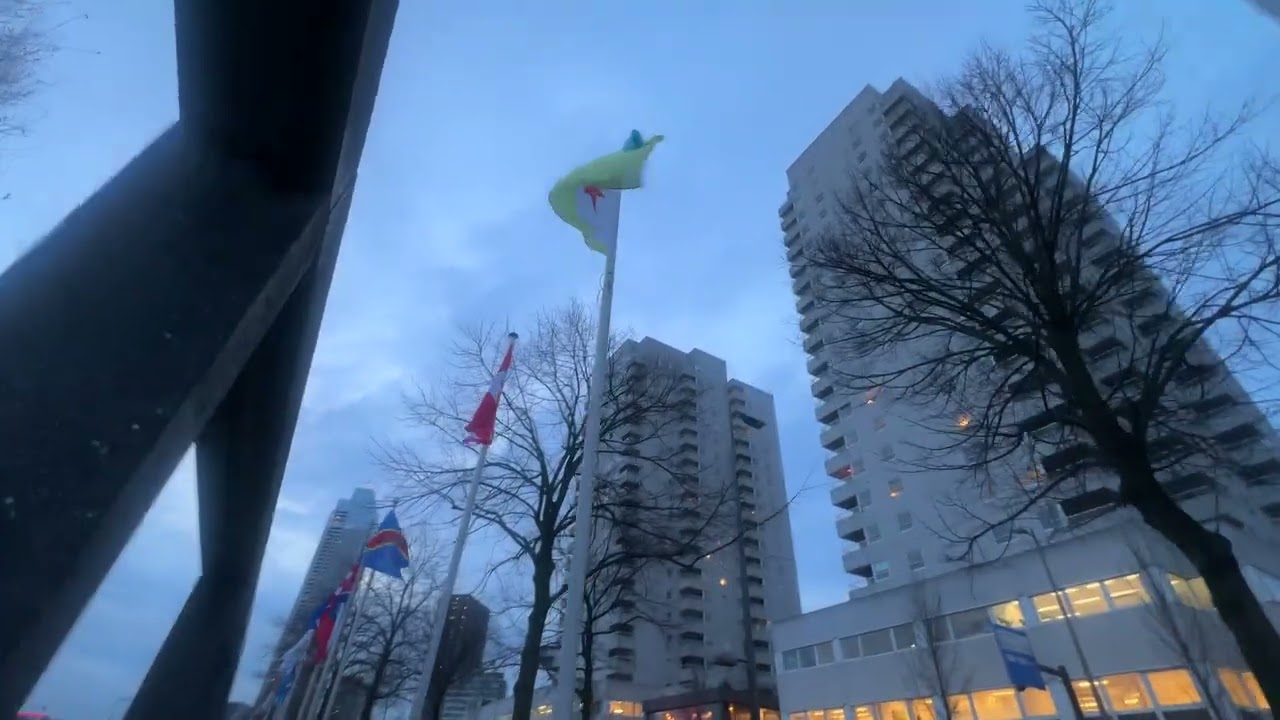 10-Minute Walk Around the World 🌍 | Flags of All Nations – Rotterdam Nederland