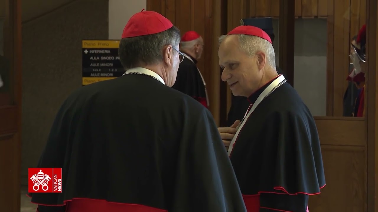 Die Generalkongregation am 29. April 2025 im Vatikan