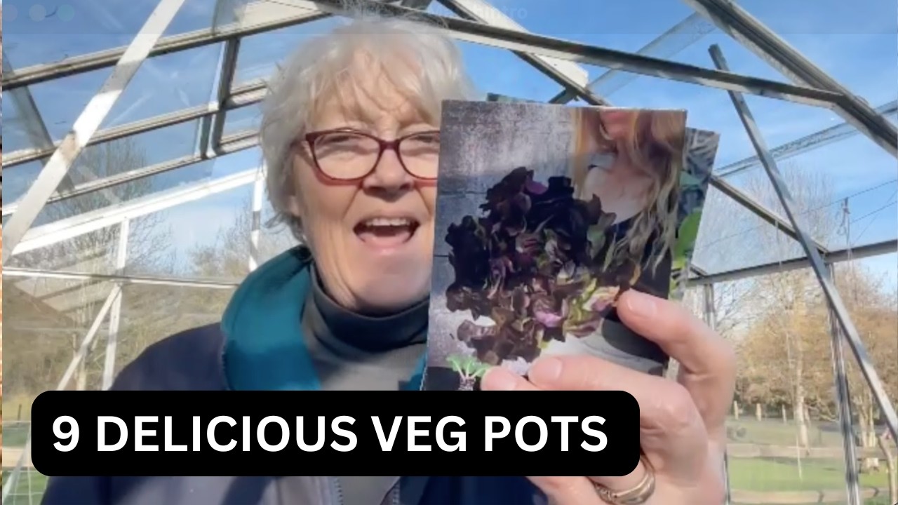 Anyone can grow vegetables like this