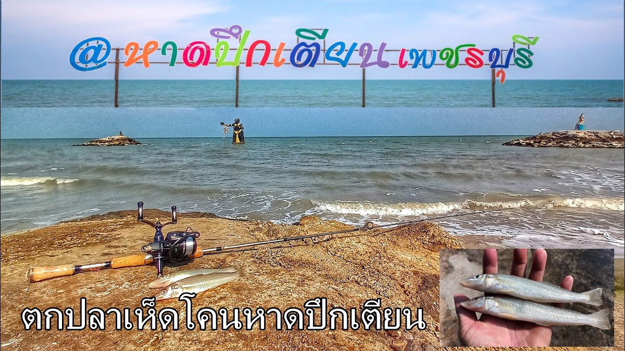 ตกปลาเห็ดโคนหาดปึกเตียน ไซส์สวย sand whiting fishing