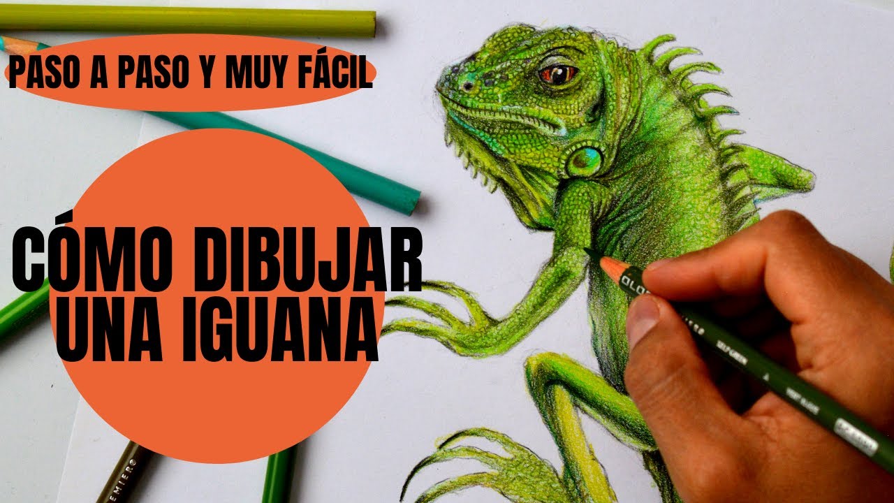 Cómo Dibujar Una Iguana Realista y fácil Paso a Paso