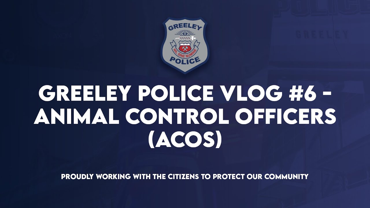Greeley Police VLOG #6 - Animal Control Officers (ACOs)
