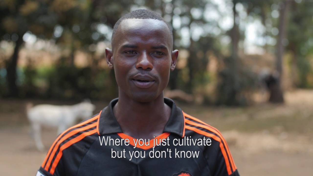 Baraka's Story: Contract Farming