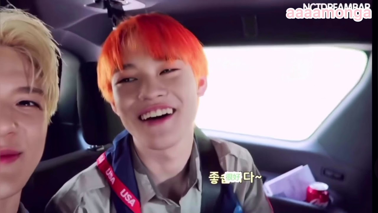 JenLe젠천 （jeno and chenle) the sweet moment about cat owner and his cat 이집사와 그의 러냥이