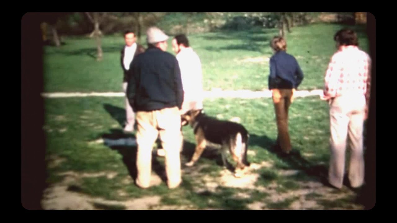 Schäferhundeverein Kippenheim   Sulz Frühjahrsprüfung 1975