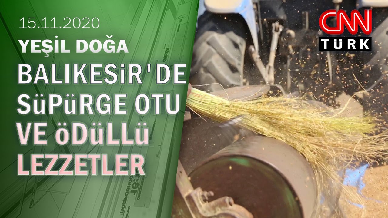 Balıkesir'de süpürge otu ve ödüllü lezzetler - Yeşil Doğa 15.11.2020 Pazar