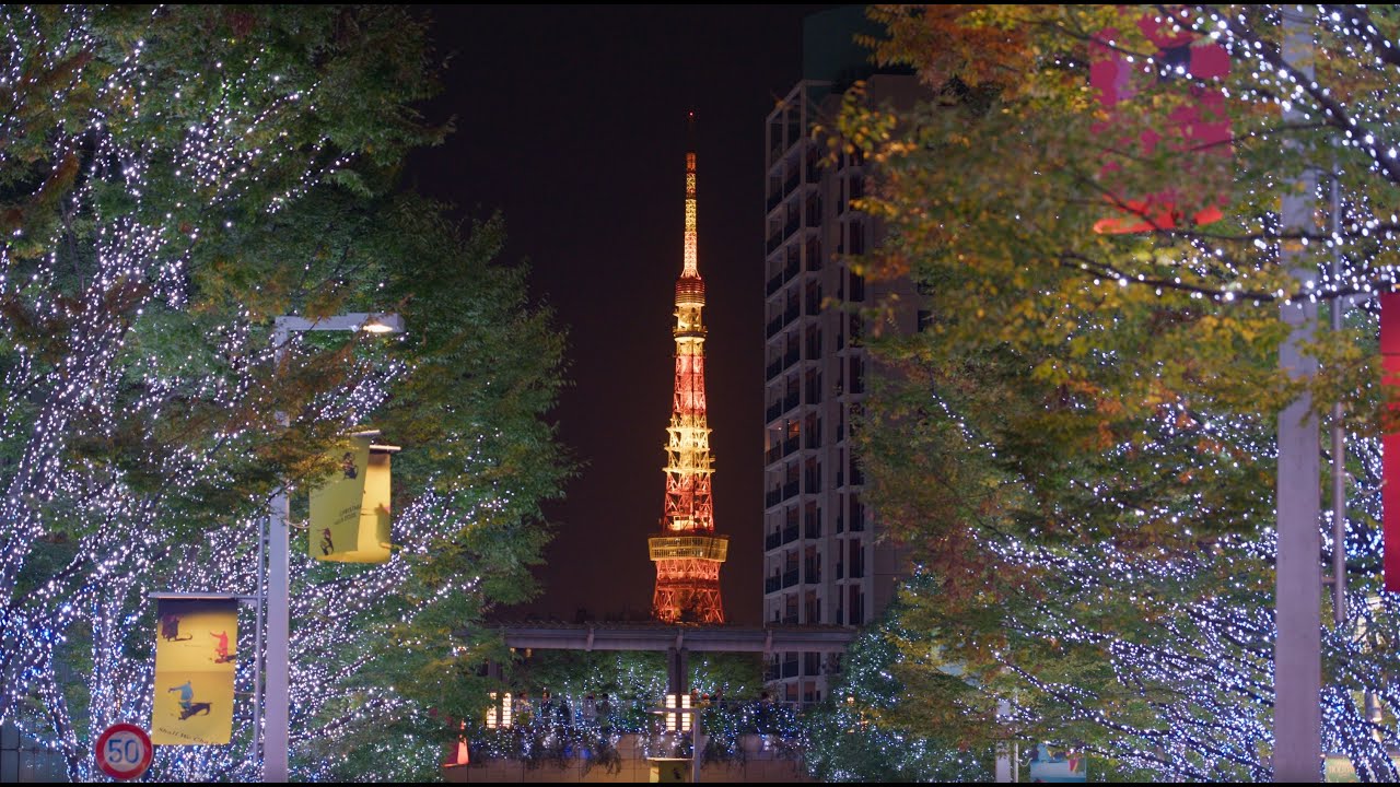 六本木ヒルズ けやき坂  2025/11/13 LUMIX S1RII  x BRAW Cinematic 8K動画