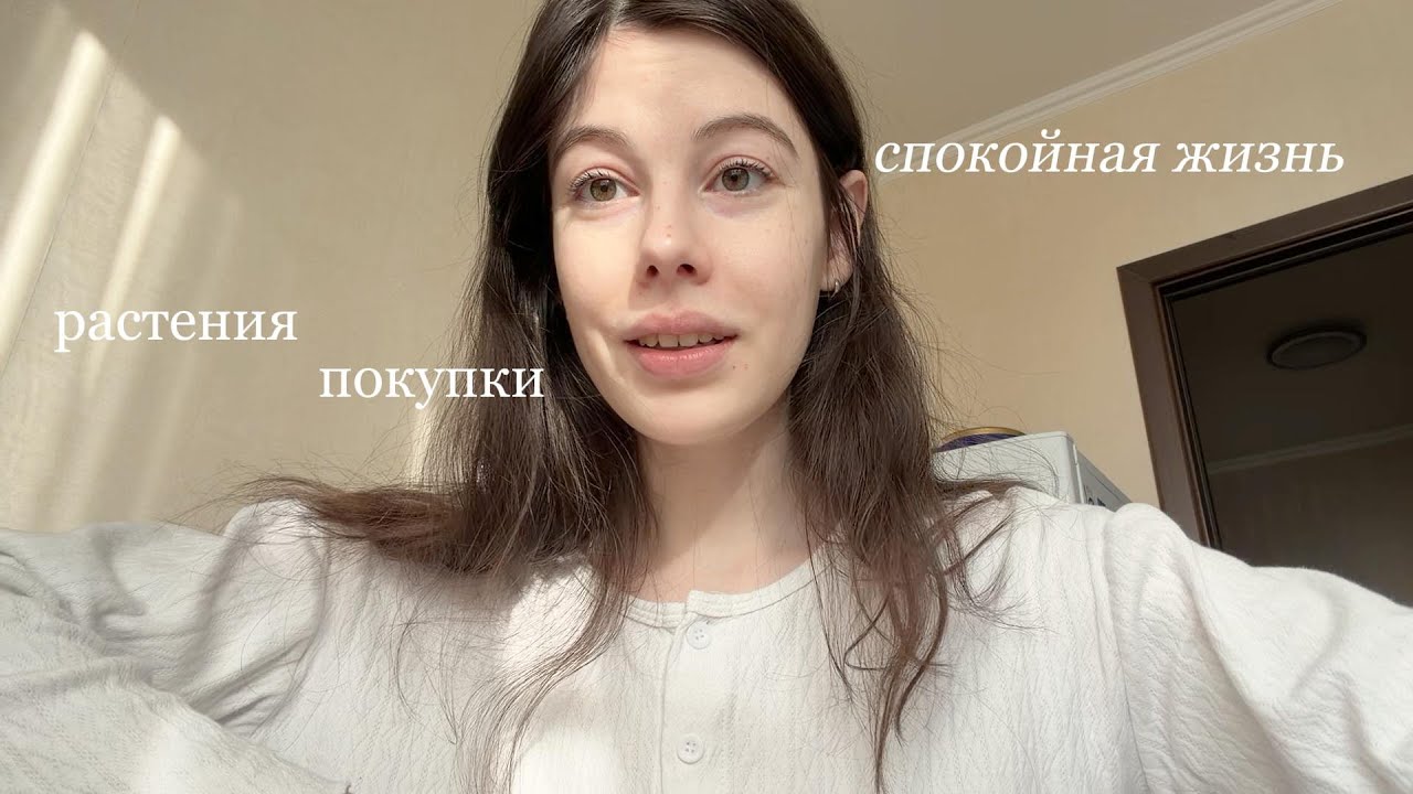 спокойная жизнь vlog | уход за растениями и покупки
