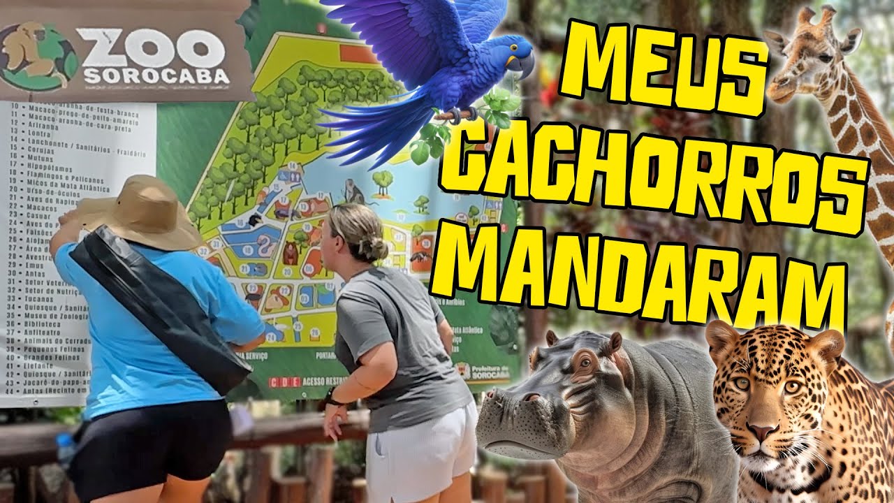 MEUS CACHORROS MANDARAM A GENTE PRA UM ZOOLÓGICO CHEIO DE ANIMAIS RESGATADOS!