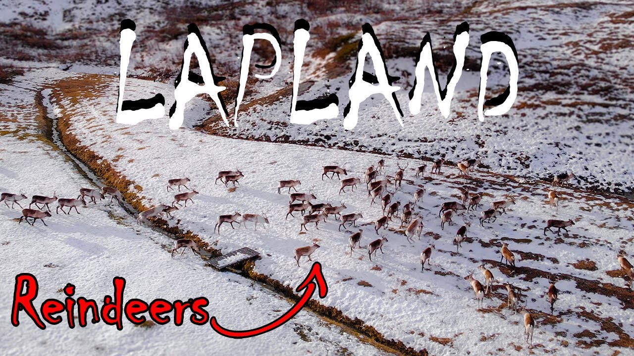 Otherwordly Views of Lapland and Reindeers - Cinematic Drone Footage with DJI Mavic Air