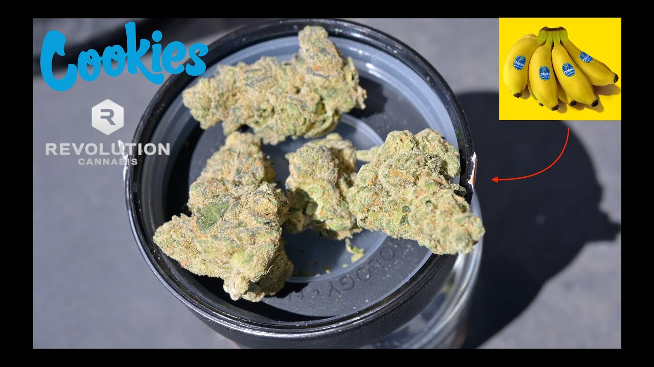 Revolution: Manzano (Strain Review)