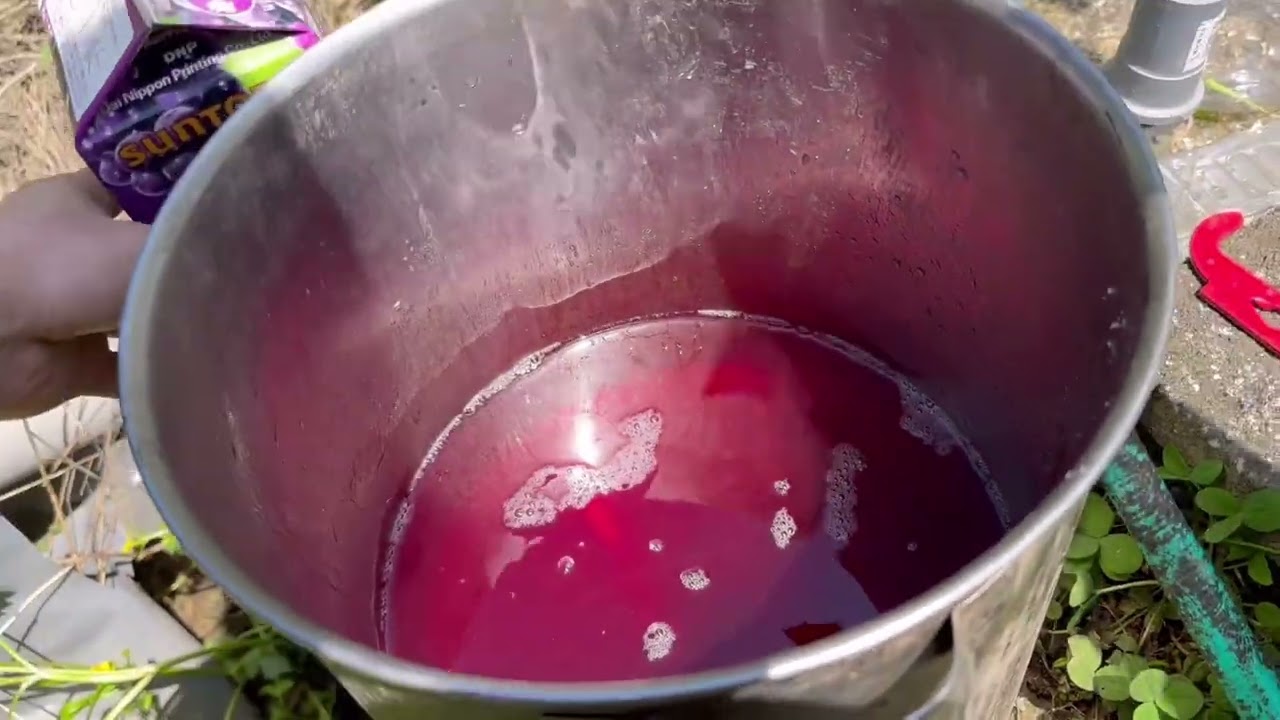 スズメバチの女王蜂がうろつき出したので、トラップを作って仕掛けてみた