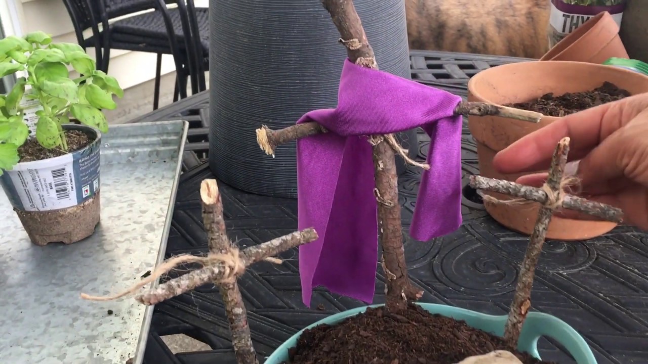 Making an Easter Garden