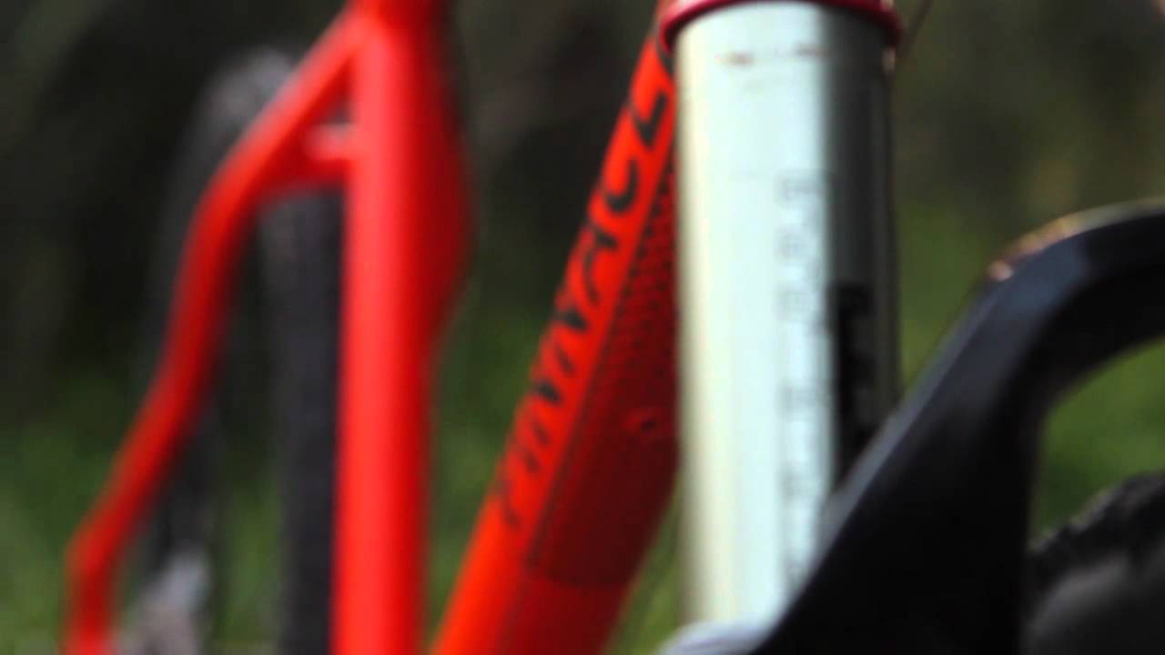 Pinnacle Iroko 2012 - Close up