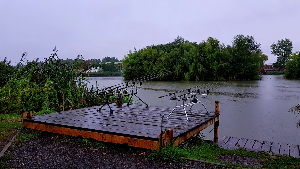 Nagykállói Horgásztanya - Best Fishing Ever !!! 4k