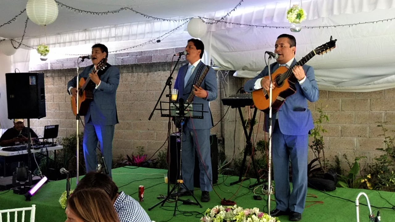 Trío/s Musical/es en CDMX para Fiesta/s y Evento/s Privado/s, Serenata/s contratación/es