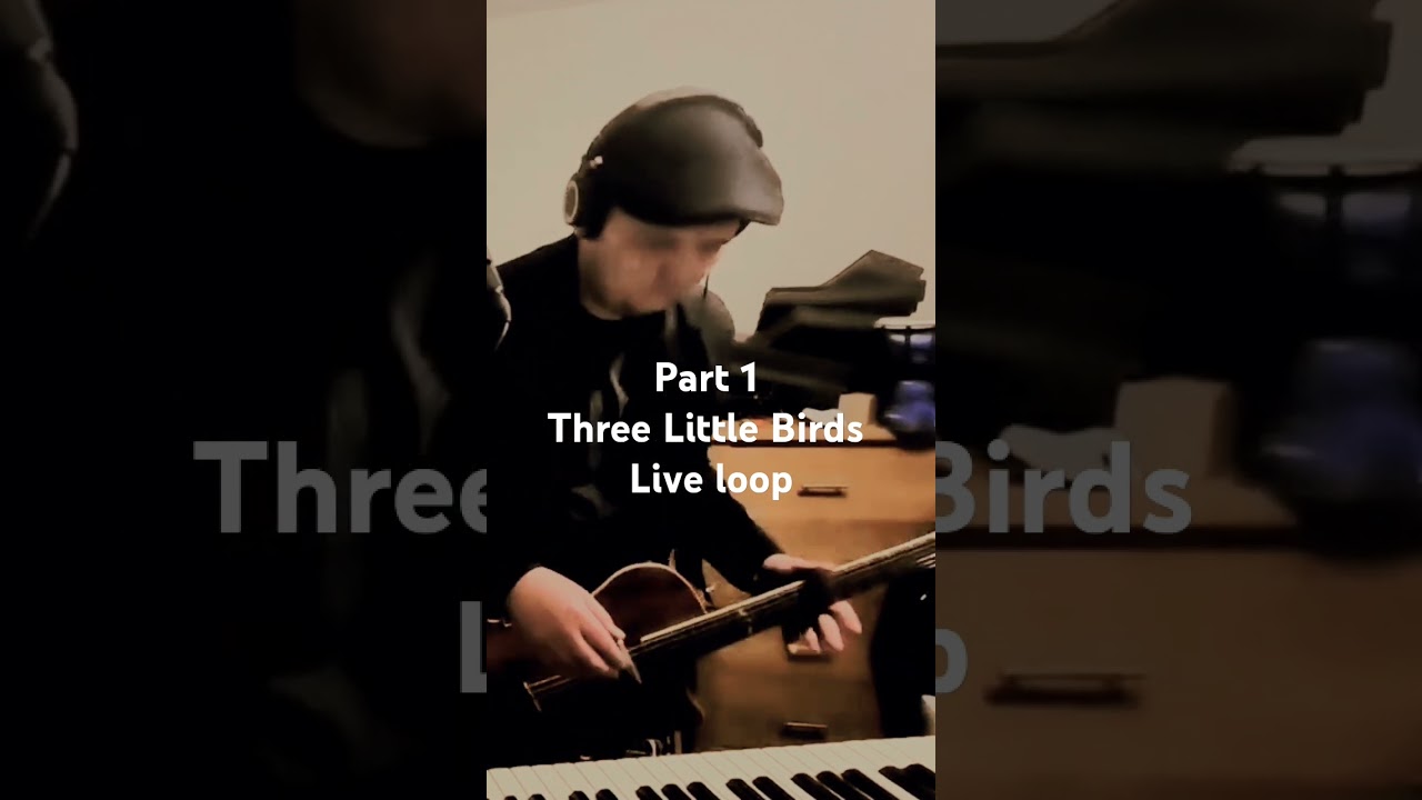 See the full video on my channel! #ukreggae #onemanband #liveloopartist #newmusician #livemusicvideo