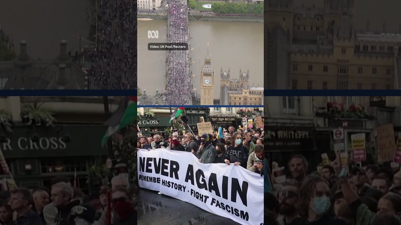 Police and anti-immigration protesters clash in London | ABC NEWS