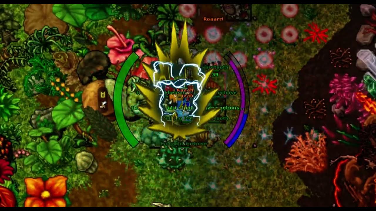 Root&Trap - Tibia - on the way to Magma Buble
