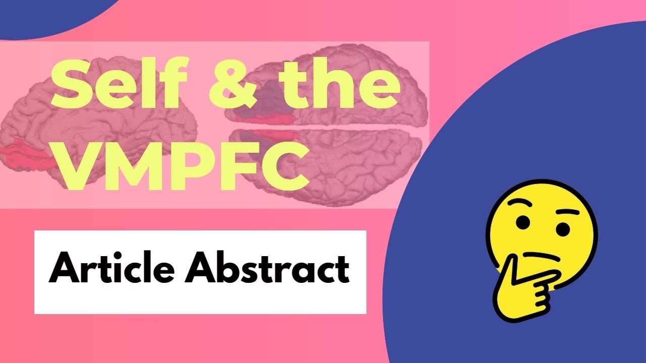 THE VMPFC 🧠 | What Does It Do? - Self, Attachment, & the vmPFC