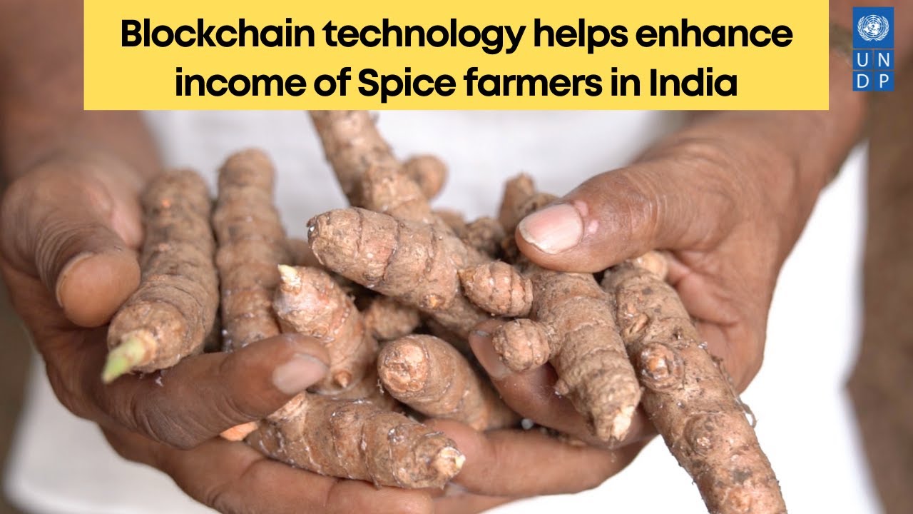 Blockchain Technology will connect India's spice farmers with international markets.