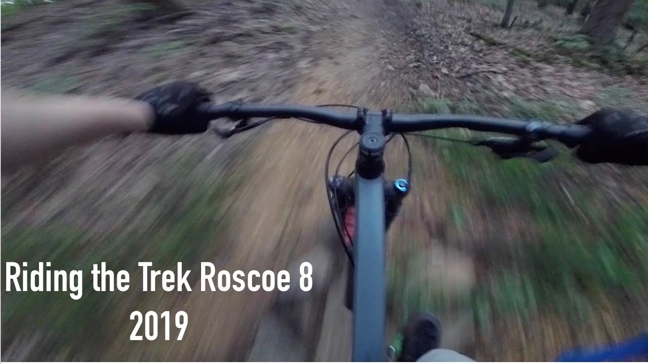 Trek Roscoe 8 2019 Riding and Review - Massanutten Western Slopes