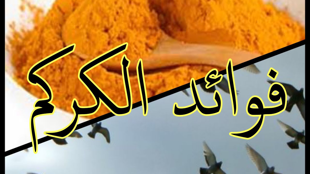 عشبة #الكركم العظيمة و فوائدها للحمام
