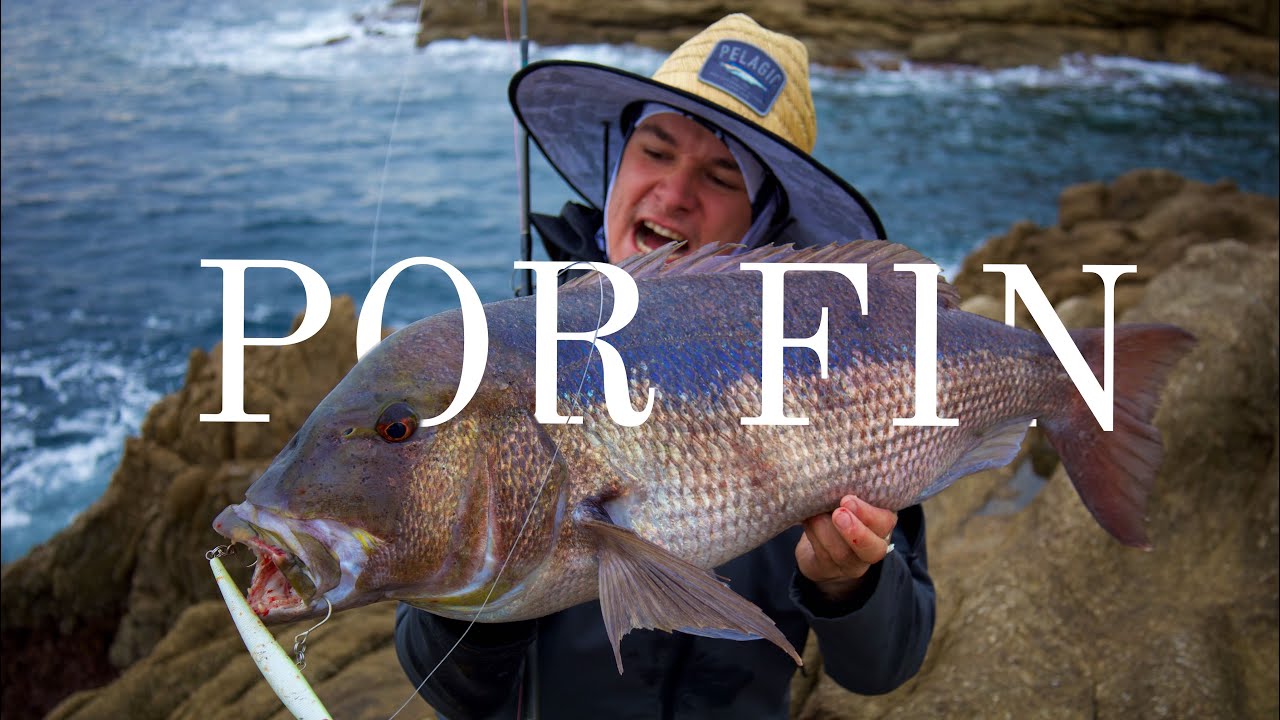 DENTICE PREISTORICO a Shore jigging !!! Pesce della vita ! TripVLOG