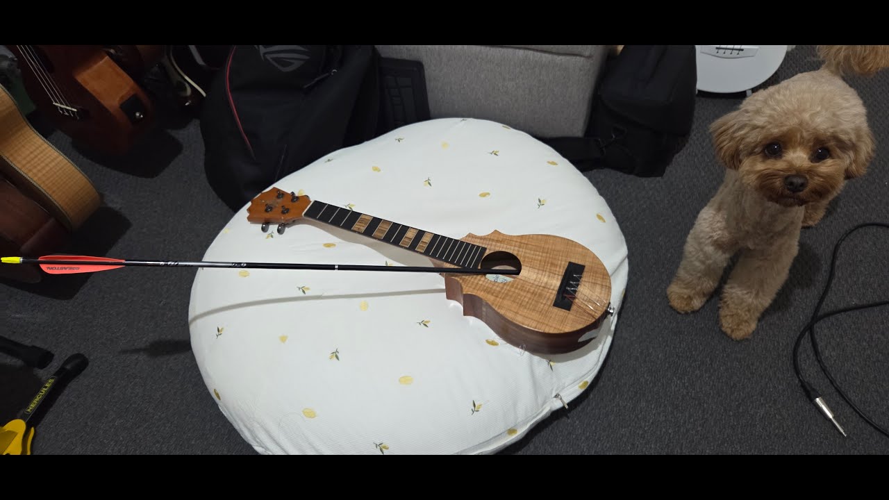 Dual pickup modification on my Koaloha Ukulele