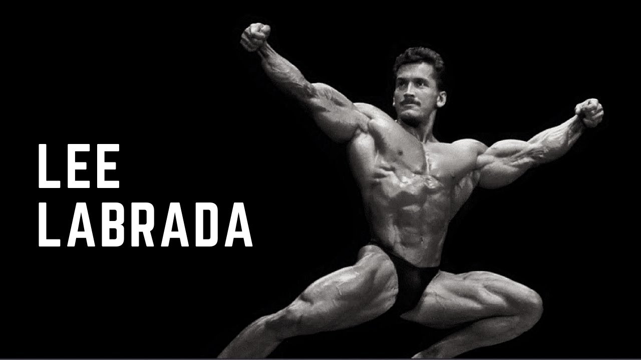 B&oacute;g Symetrii | LEE LABRADA