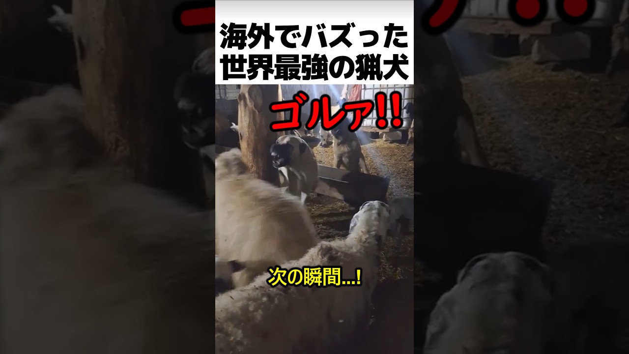 世界最強の猟犬の正体