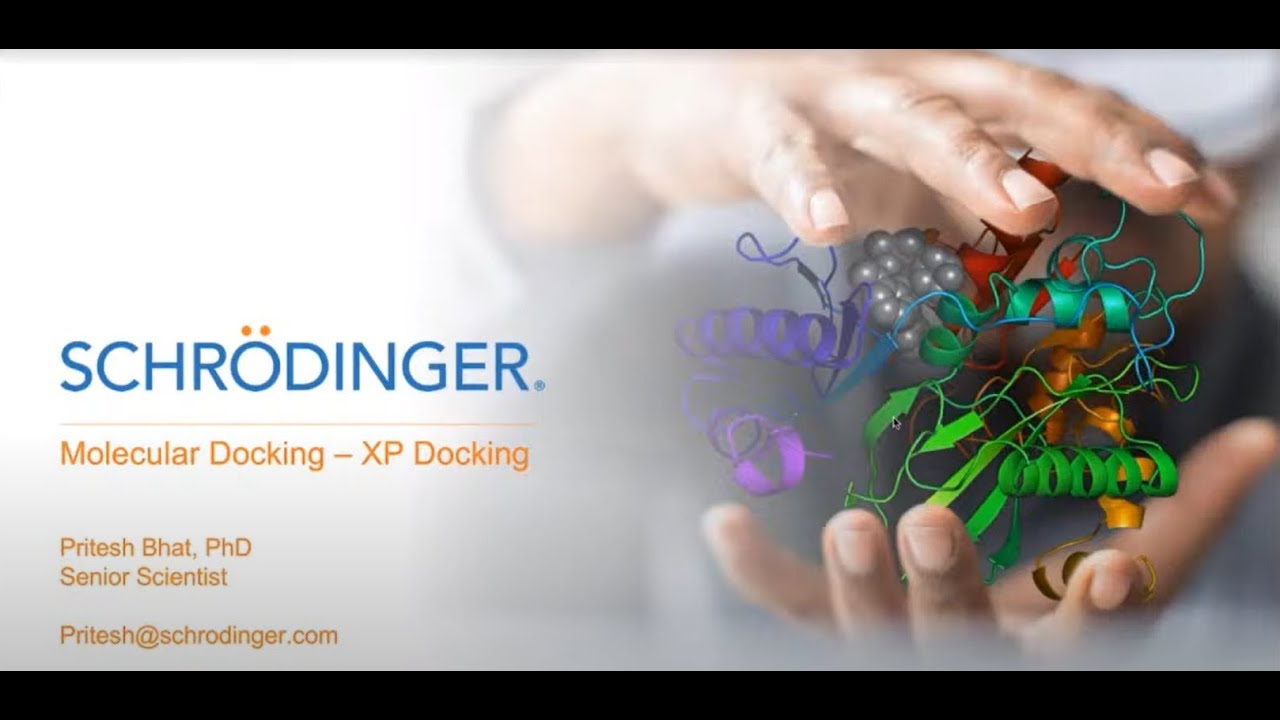 DDH 2020 Training vertical 3 by Schrodinger Team