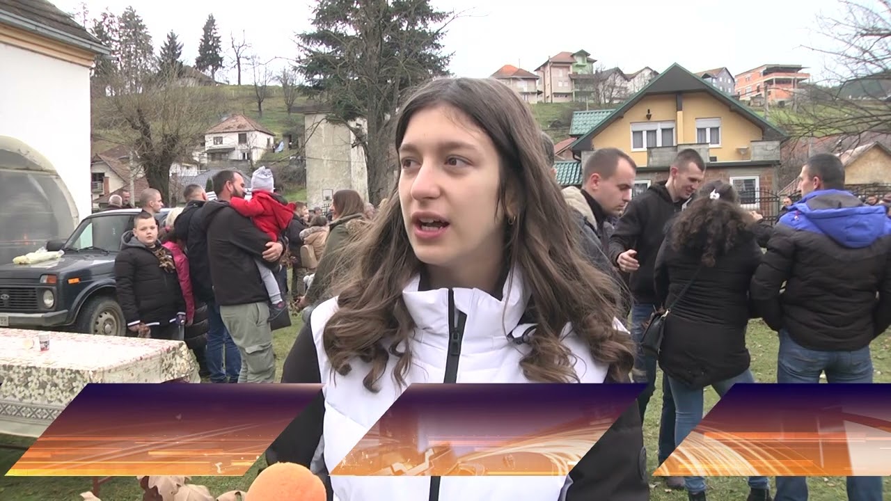 Seča badnjaka u Brodarevu
