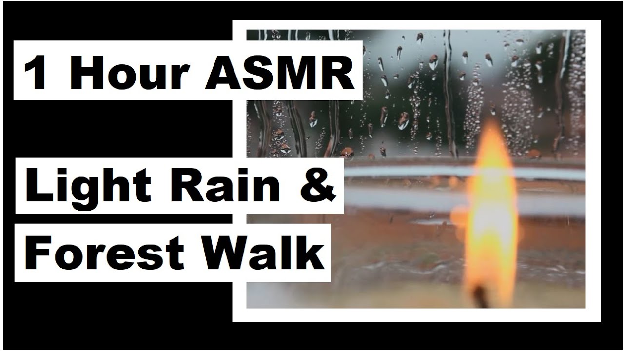 1 Hour Light Rain and Forest Walk - No Talking - ASMR