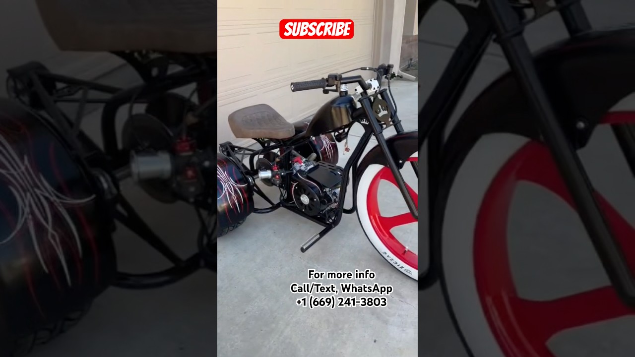 Custom build mini trike #bike #bikelover #bikelife #motorcycle #trikes #viral #fyp