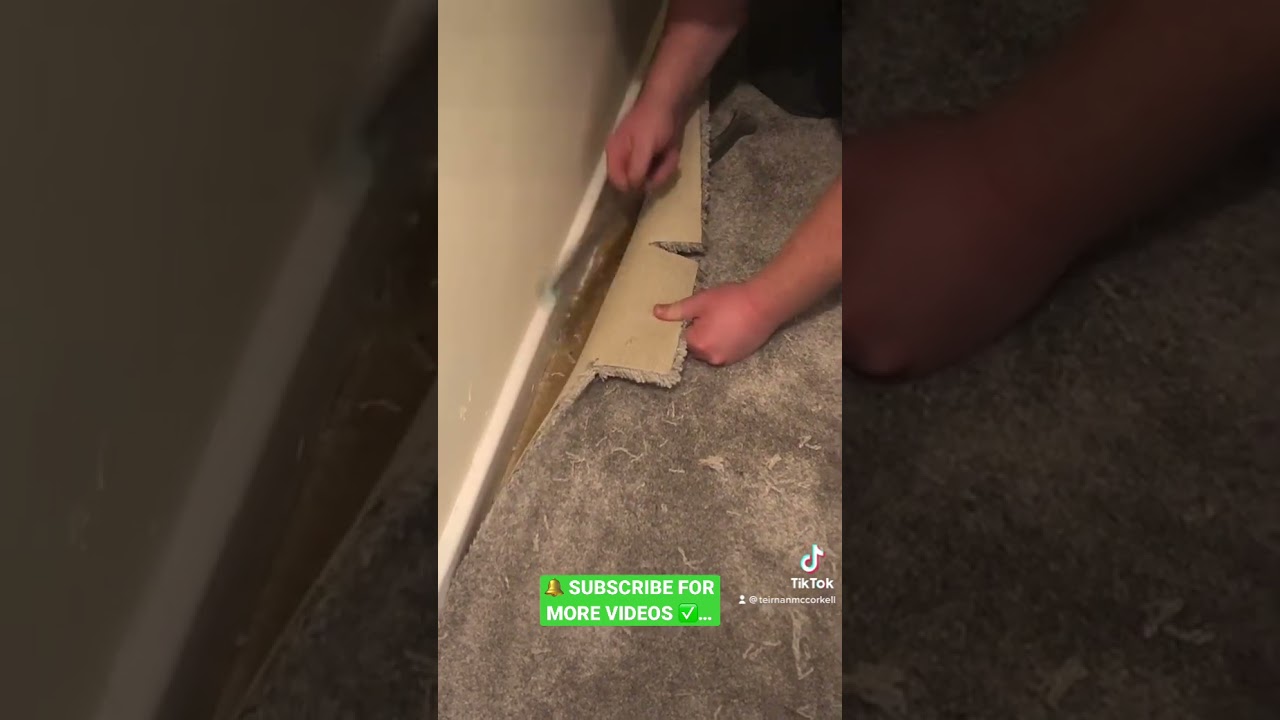 ✅ Trimming Carpet - HOW-TO #carpet #howto #teirnanmccorkell #diy #tricks #tips #flooring #tip