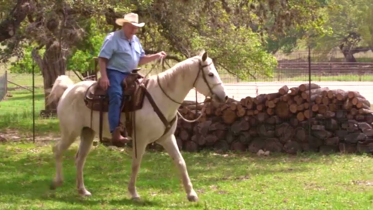 Horseshoeing with HoofTalk: Lesson 1