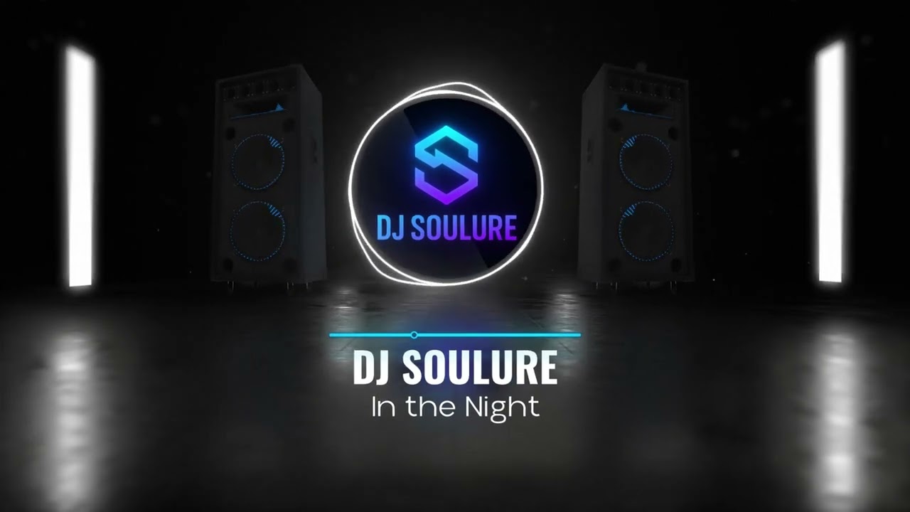DJ SOULURE - In the Night