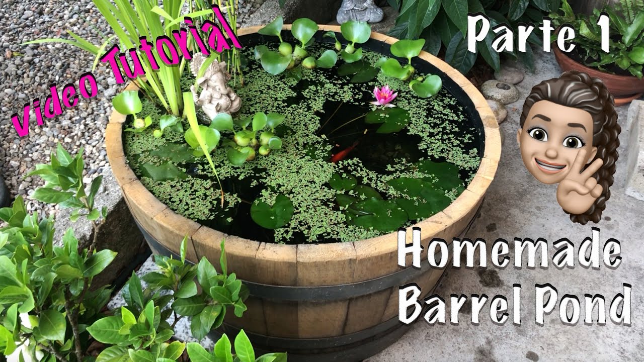 Video Tutorial - PARTE 1 di 2 - per creare il vostro piccolo stagno in una botte (BARREL POND)