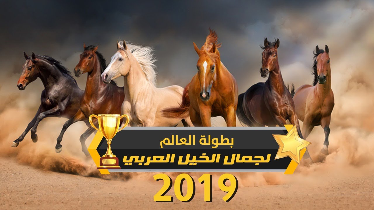 بطولة العالم - باريس 2019  لجمال الخيل العربية