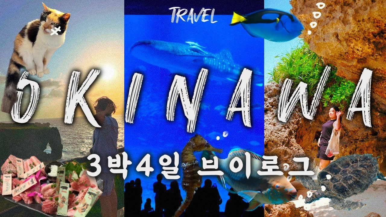 4K[오키나와3박4일]오키나와 랜드마크 코스와 지브리같은 카페 I 오키나와북부 I 츄라우미수족관 I 만좌모 I 오지마섬 I 야끼니쿠 I 여행브이로그 I 조식맛집 I 쿄다휴게소