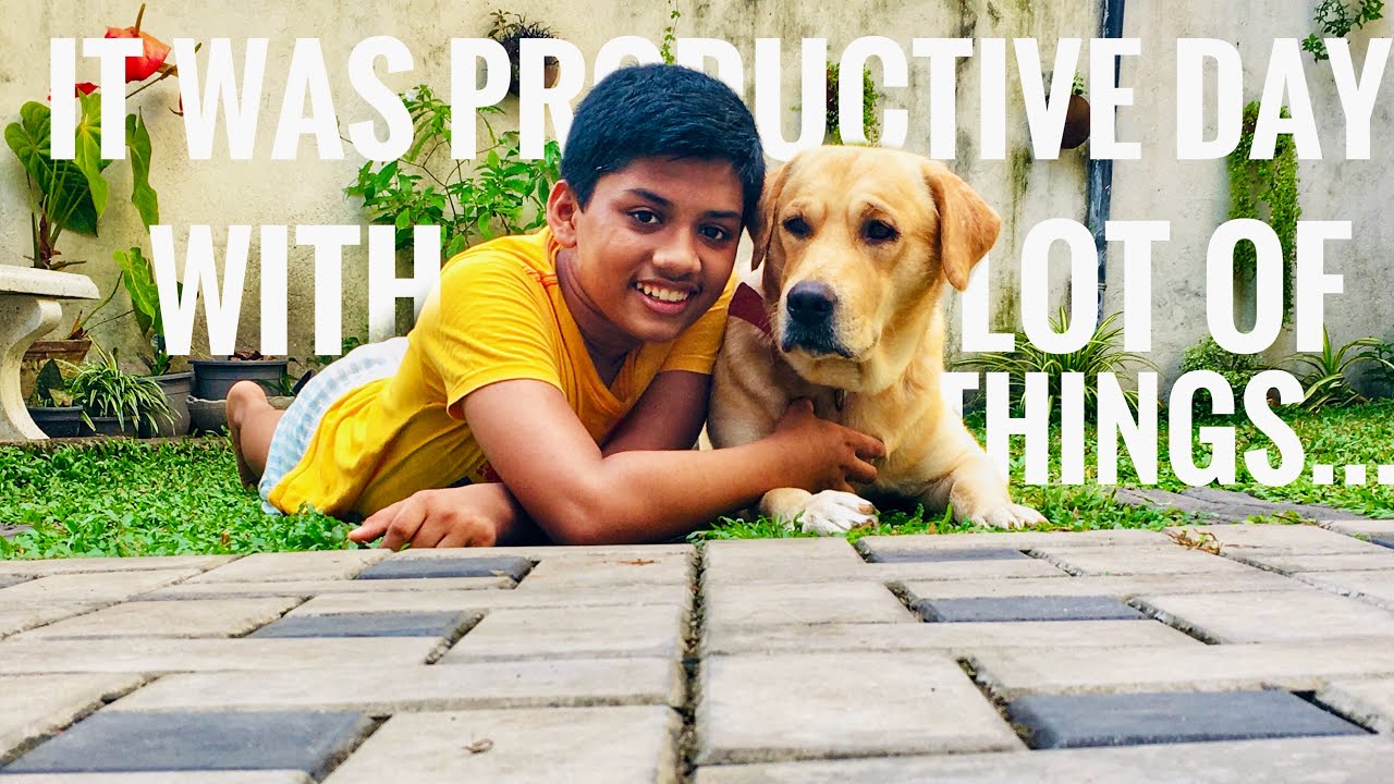 It was productive day with lot of things...|Morning routine,School, shopping,@THE DAIRY OF A VLOGGER