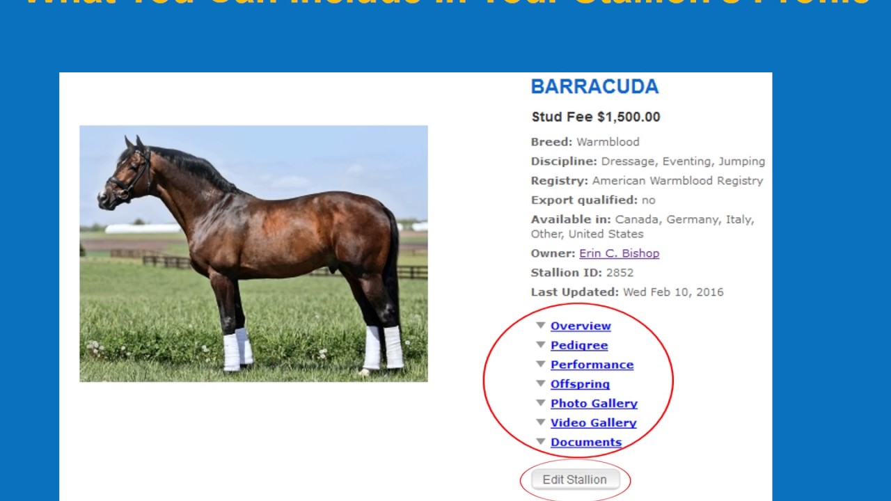 How to Use the SBS Stallion Guide