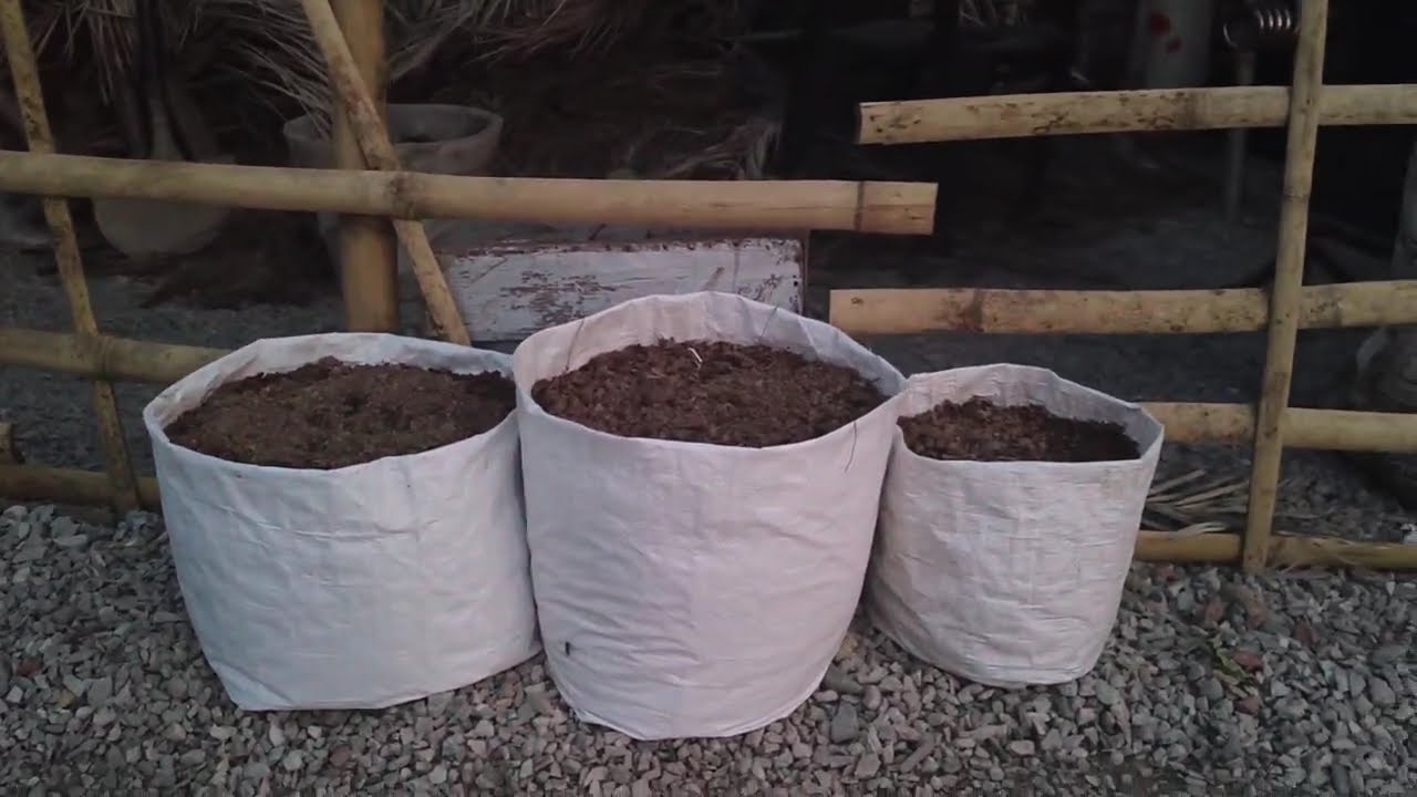 Waste Katte Se Garden Bana Diya 🌿 | Vertical Gardening
