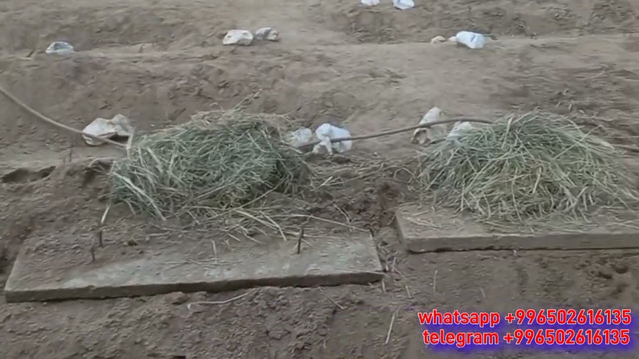 Умра.Жаннатул маалло кабристони Хадижа онамизни кабрлари