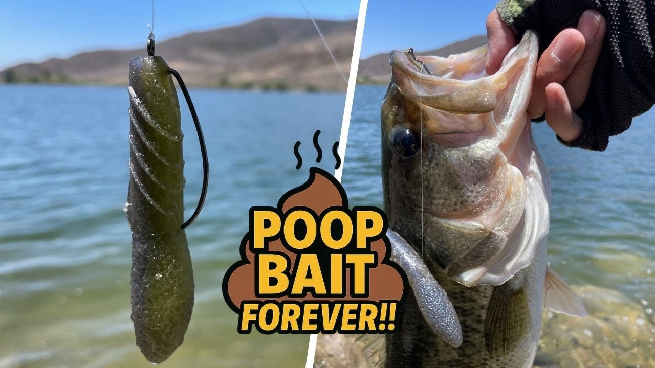 Can I Still Catch Bass on the 2018 Cover Scat in 2025?