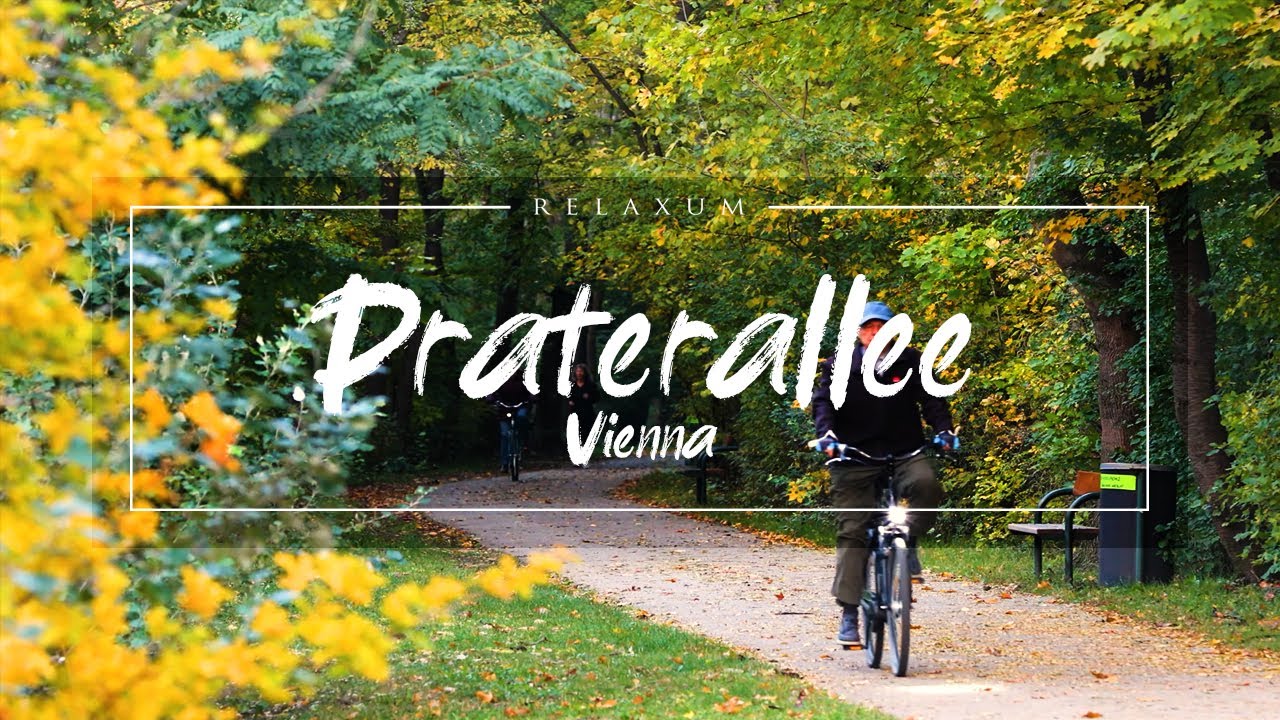 Praterallee Vienna City Sound - 🏃‍♀️🌳 🚴 - Austria