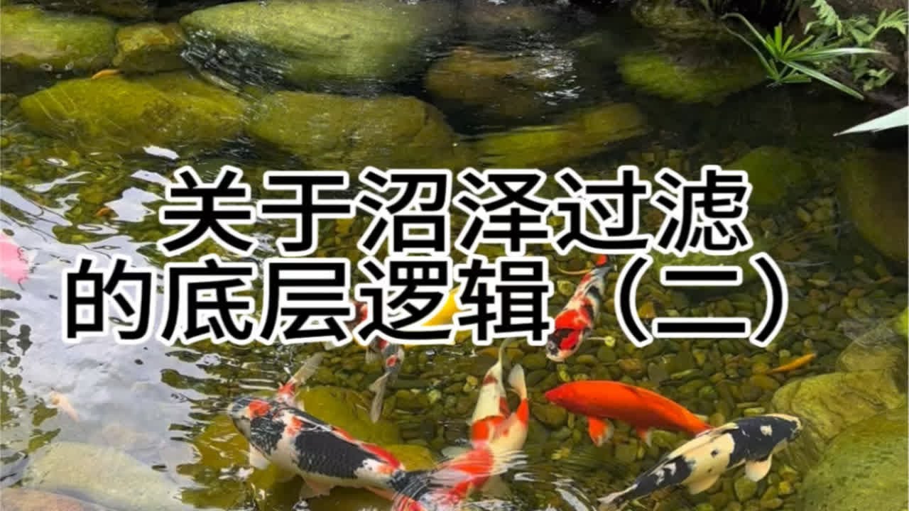 关于沼泽过滤的底层逻辑（二）